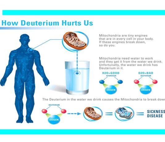 Deuterium Content of the Organic Compounds in Food Has an Impact on Tumor Growth