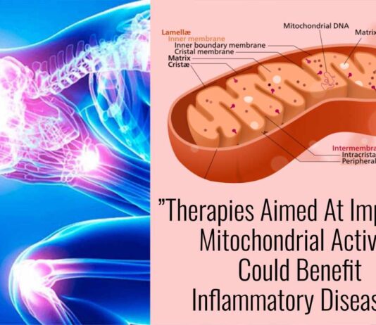 Scientists Confirm The Benefits of Drinking HydroHealth DDW: ”Therapies Aimed At Improving Mitochondrial Activity Could Benefit Inflammatory Diseases”